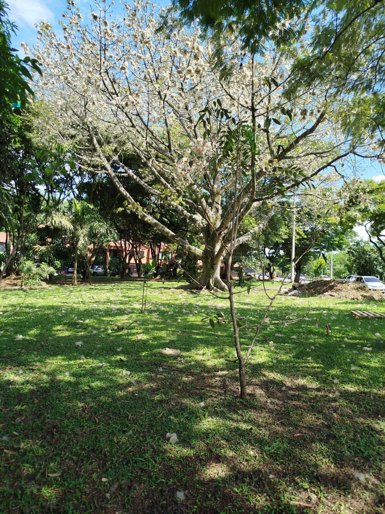 Casa San Joaquin *